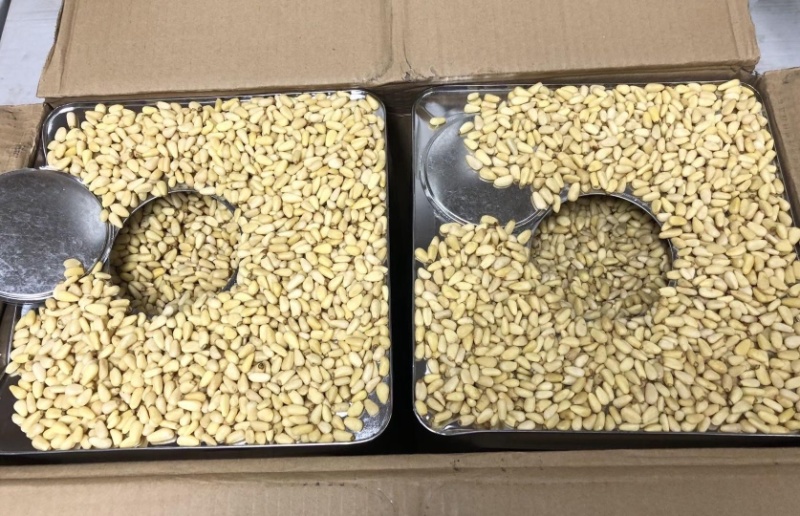 大颗粒华山果仁粒粒饱满香甜可口量大从优欢迎电话联系