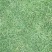 夏威夷草、夏威夷草草皮、台湾草皮、大叶油草皮