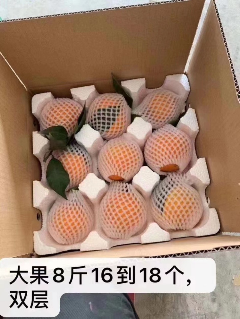 爱媛果冻橙，产地直销，皮薄多汁，诚邀电商支持一件代发。