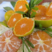 湖北优质蜜橘，一手货源，口感甜，皮薄汁多，视频看货