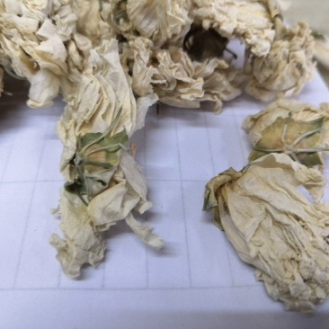 国产白木槿花佛桑花一公斤一袋颜色白不黄十公斤包邮