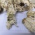 国产白木槿花佛桑花一公斤一袋颜色白不黄十公斤包邮