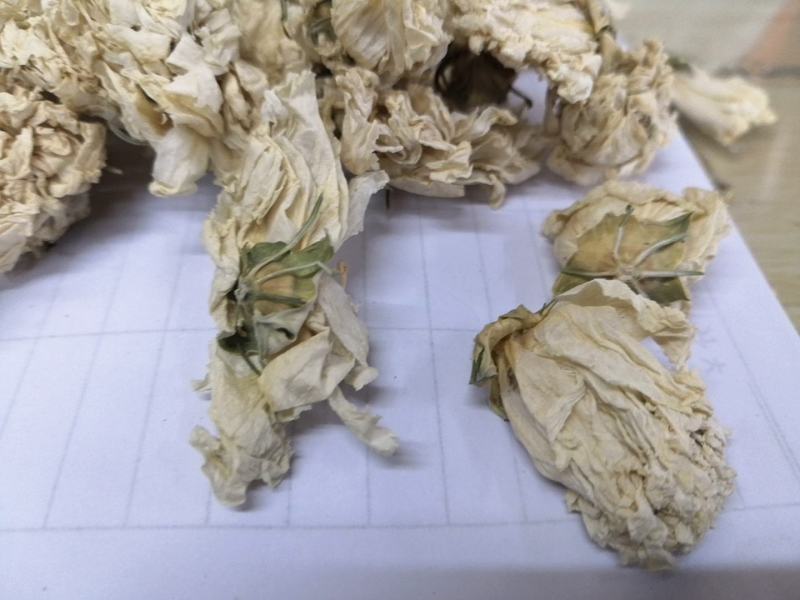 国产白木槿花佛桑花一公斤一袋颜色白不黄十公斤包邮