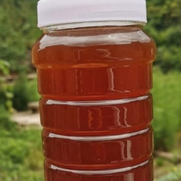 土蜂蜜