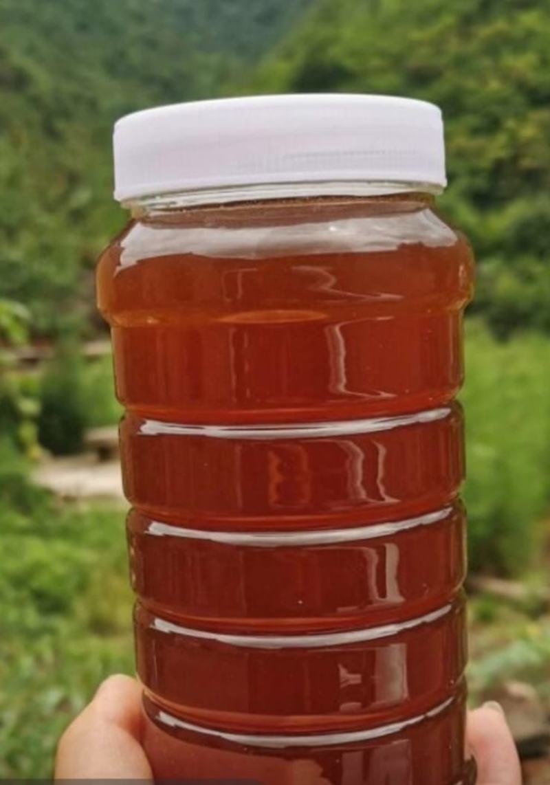 土蜂蜜