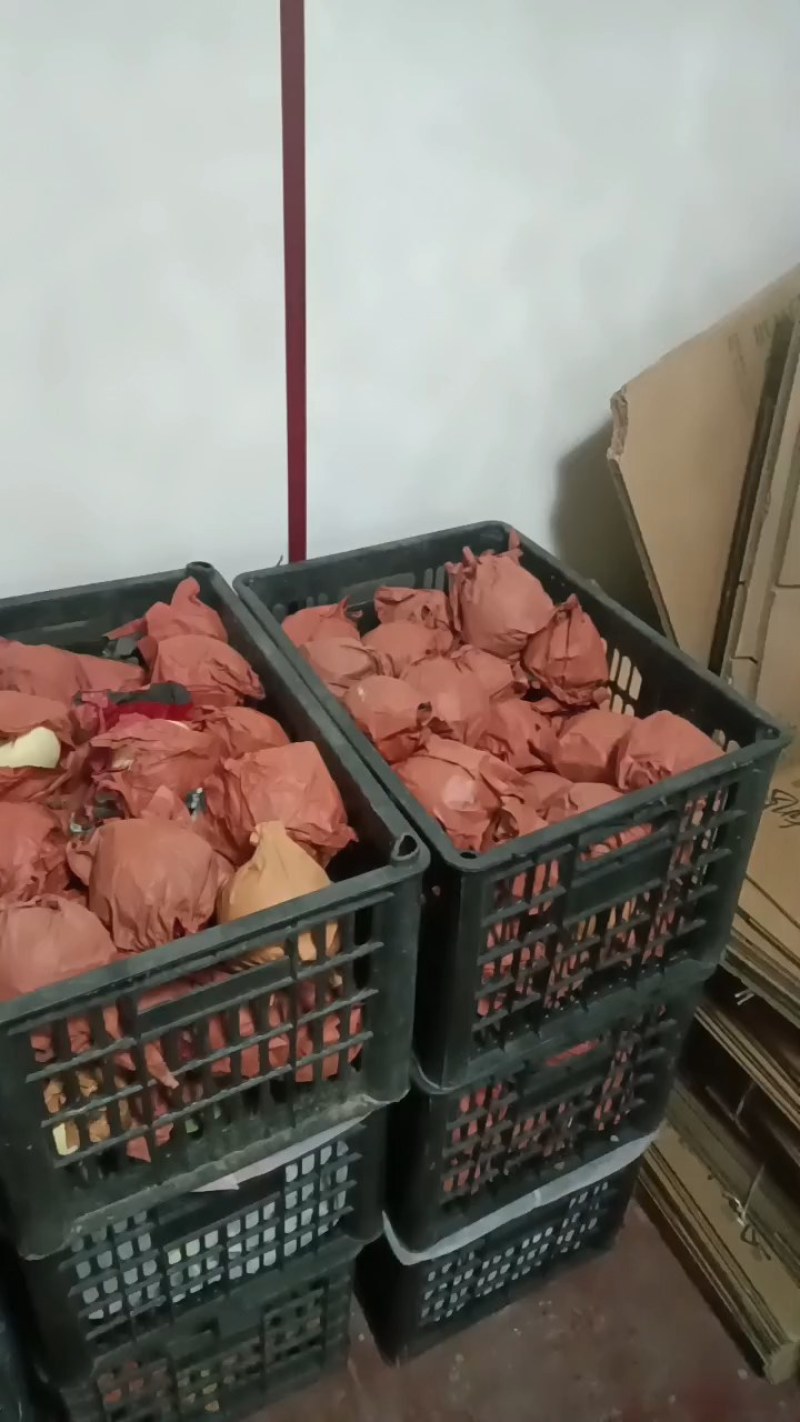 冬桃