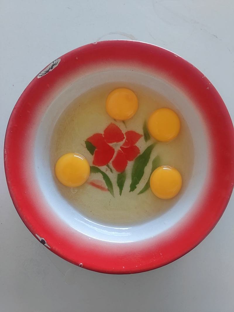 [鸡场直发精品红芯]新鲜绿壳蛋，360枚/箱