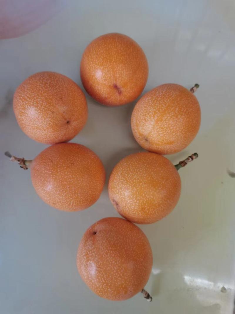 【一件代发可批发】云南热情果哥伦比亚果上市水果纯甜水果