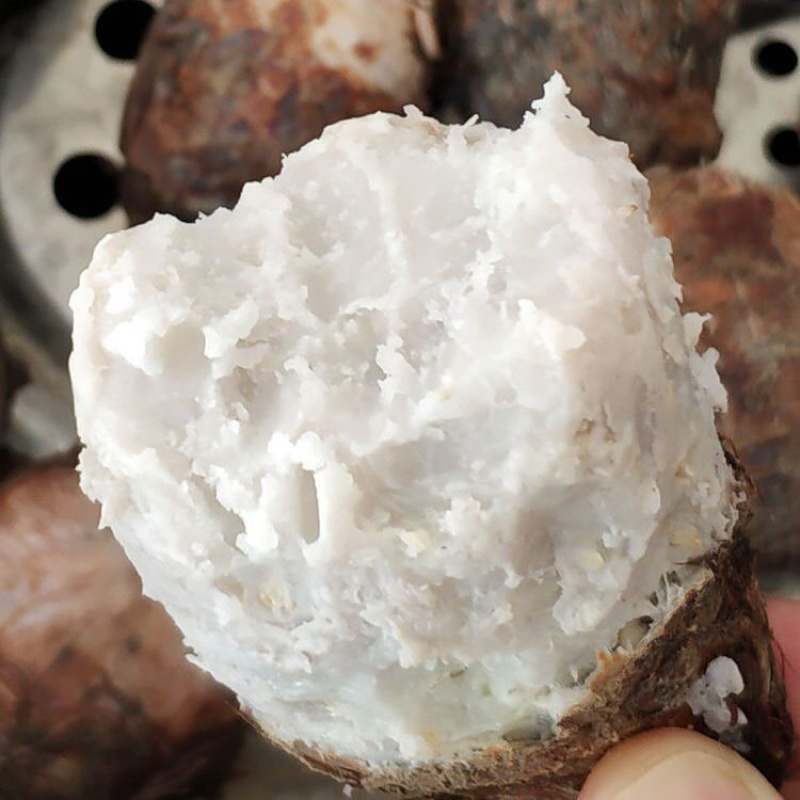 牛奶芋头一件代发迷你小果1/3/5/9斤包邮包售后