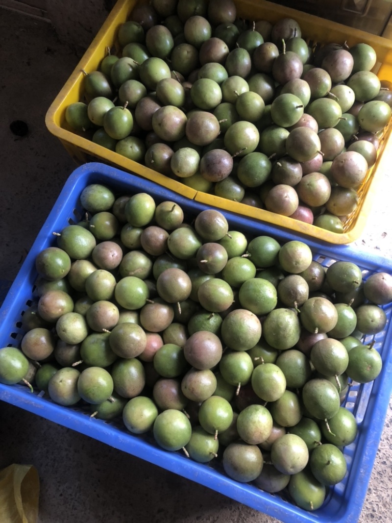 百香果