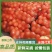 【畅销】蜜柚红心柚，白心柚大量上市基地直发，果大肉嫩
