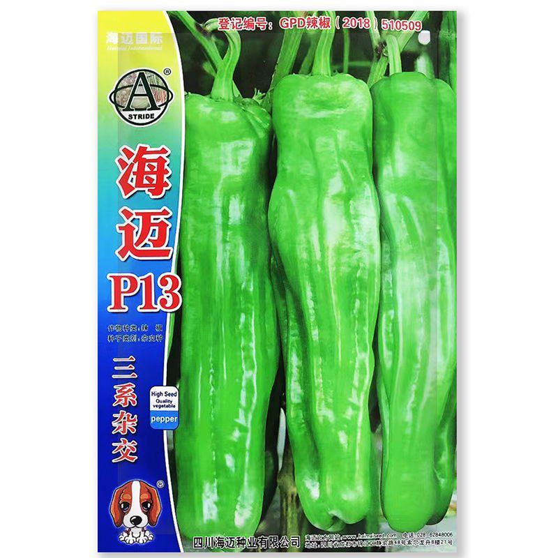 辣椒种子海迈913粗牛角辣椒早熟高产耐低温抗病性强商品性