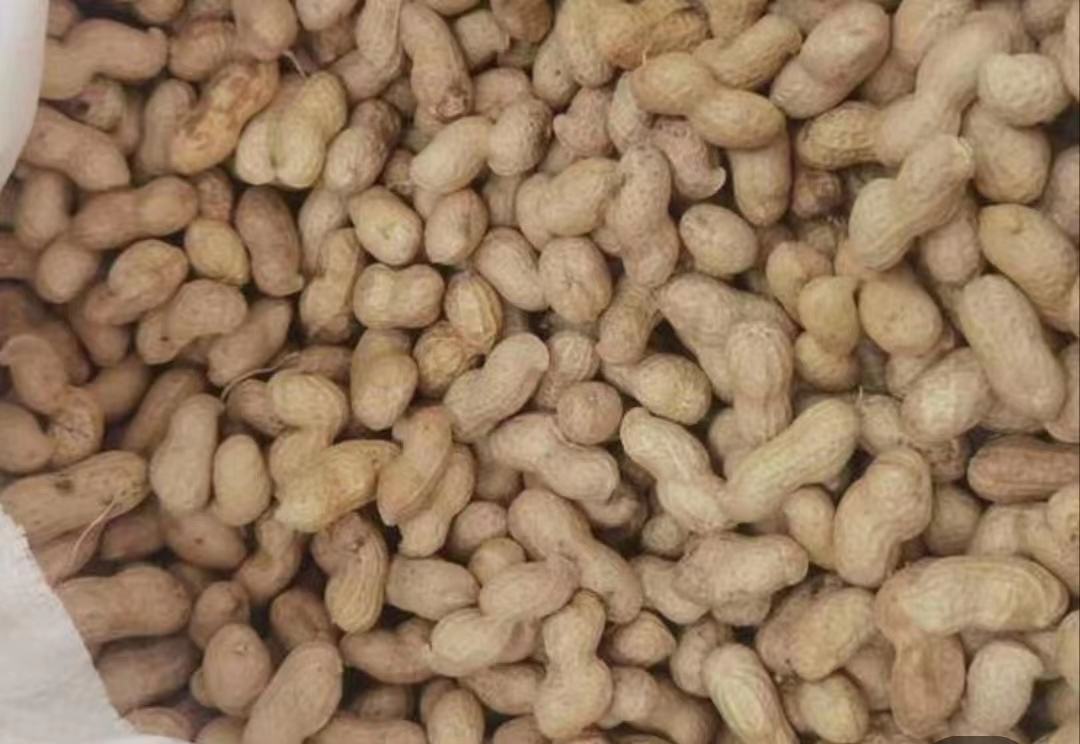 花生健康食用建议图