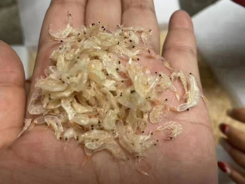 淡干大号虾皮各种规格煲汤美味