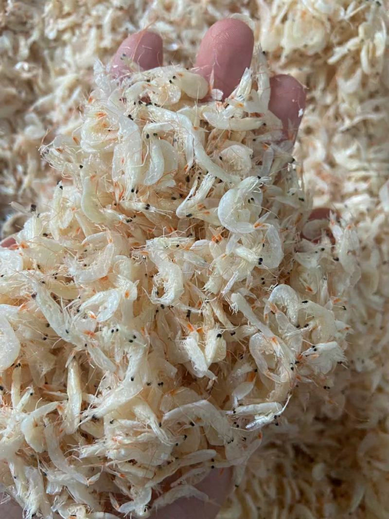 淡干大号虾皮各种规格煲汤美味