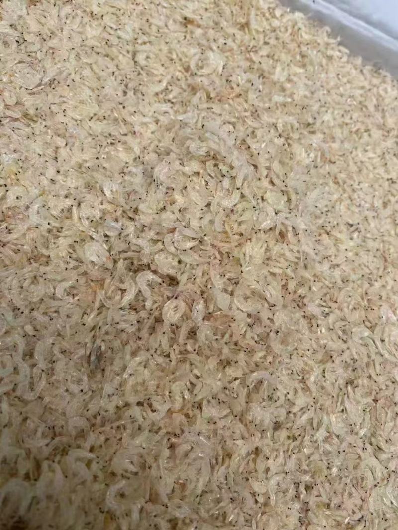 淡干大号虾皮各种规格煲汤美味