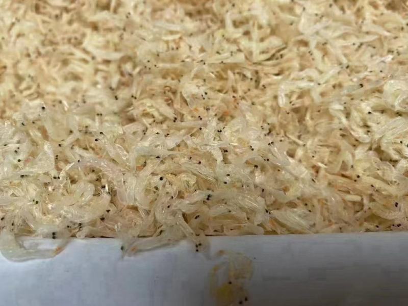 淡干大号虾皮各种规格煲汤美味