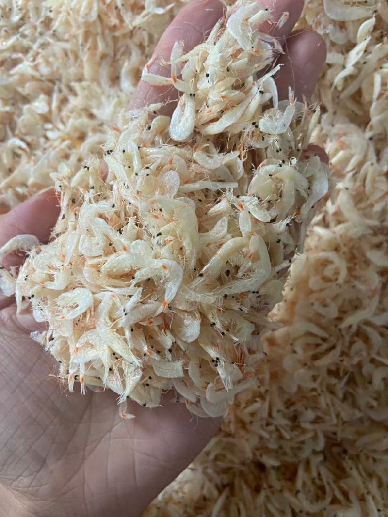 淡干大号虾皮各种规格煲汤美味