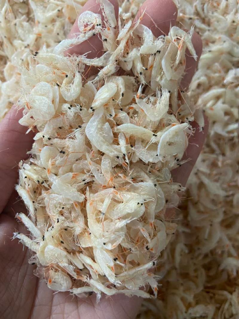 淡干大号虾皮各种规格煲汤美味