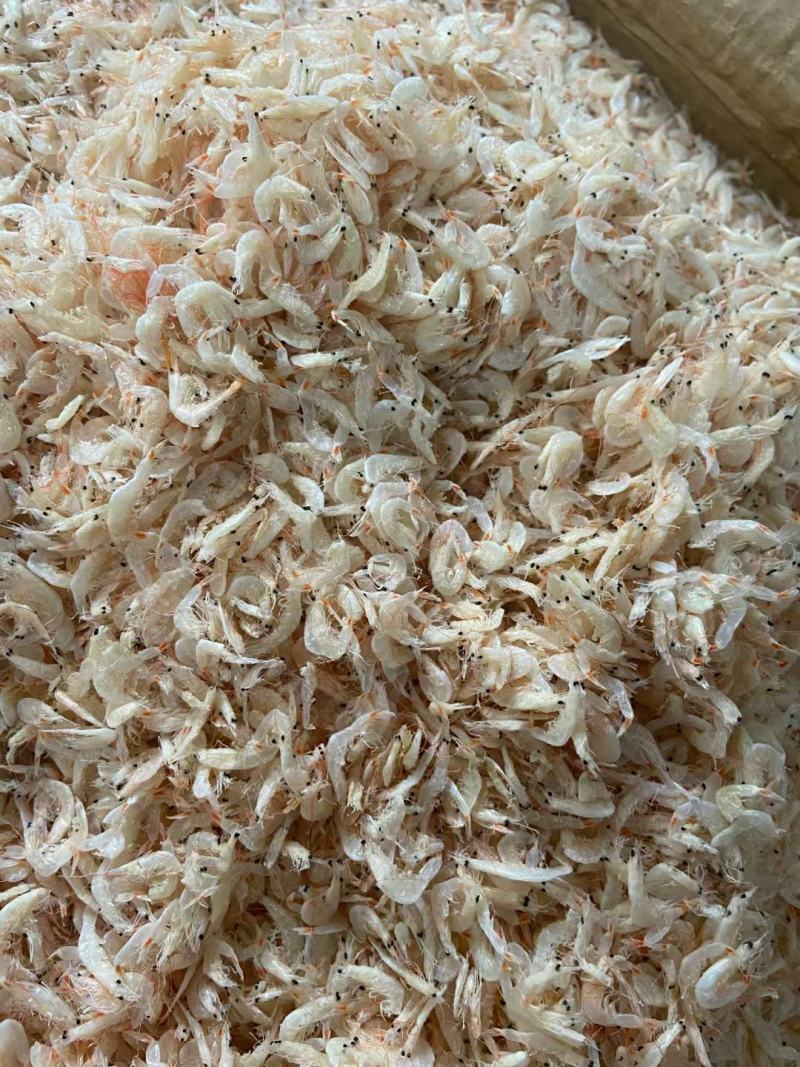 淡干大号虾皮各种规格煲汤美味