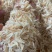 淡干大号虾皮各种规格煲汤美味