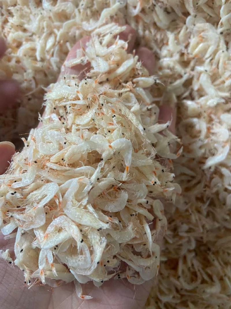 淡干大号虾皮各种规格煲汤美味