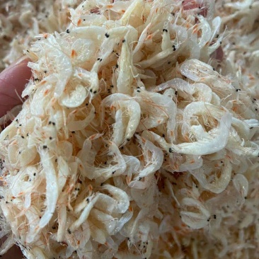 淡干大号虾皮各种规格煲汤美味