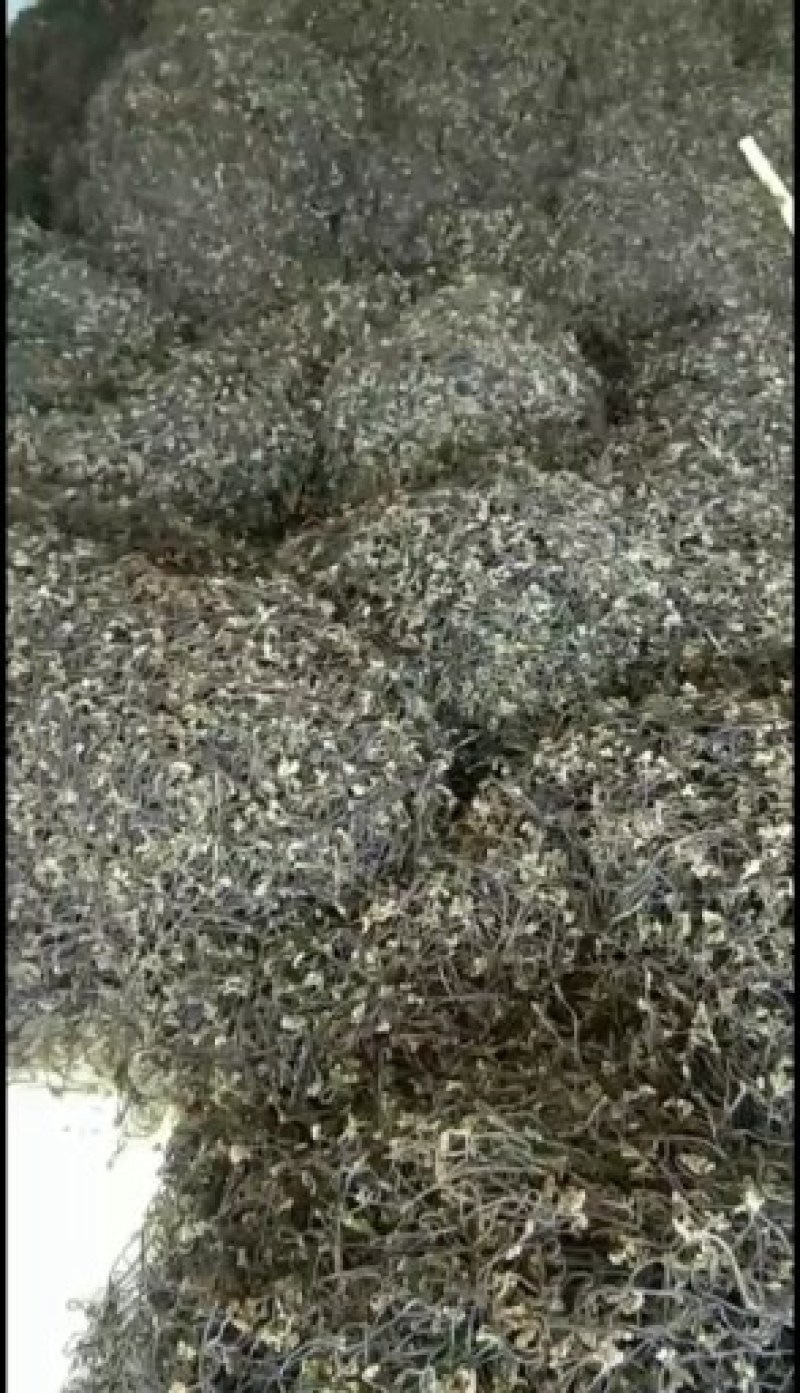 蕨菜干，长期大量批发
