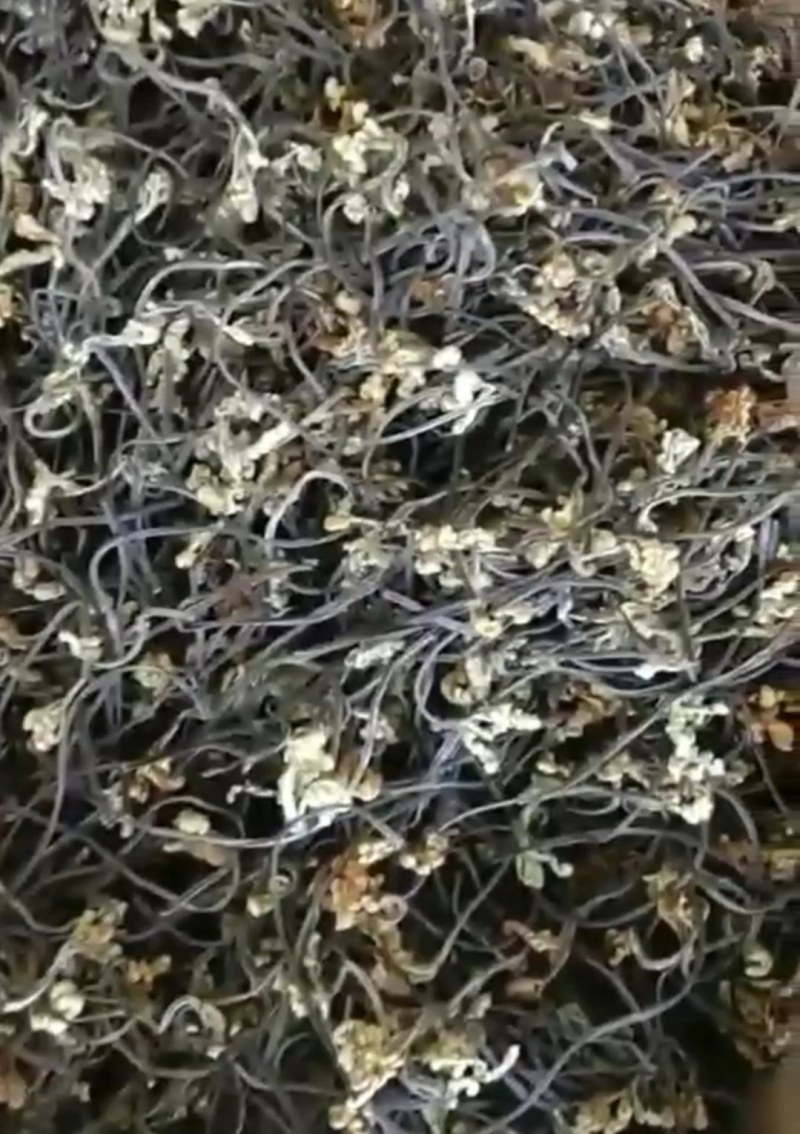 蕨菜干，长期大量批发