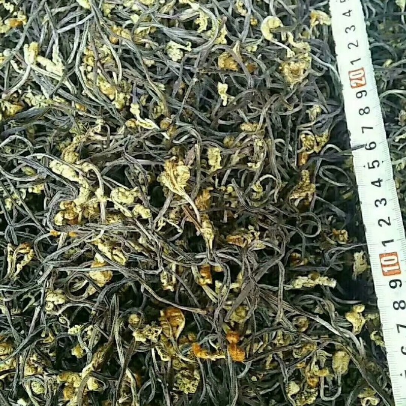 蕨菜干，长期大量批发