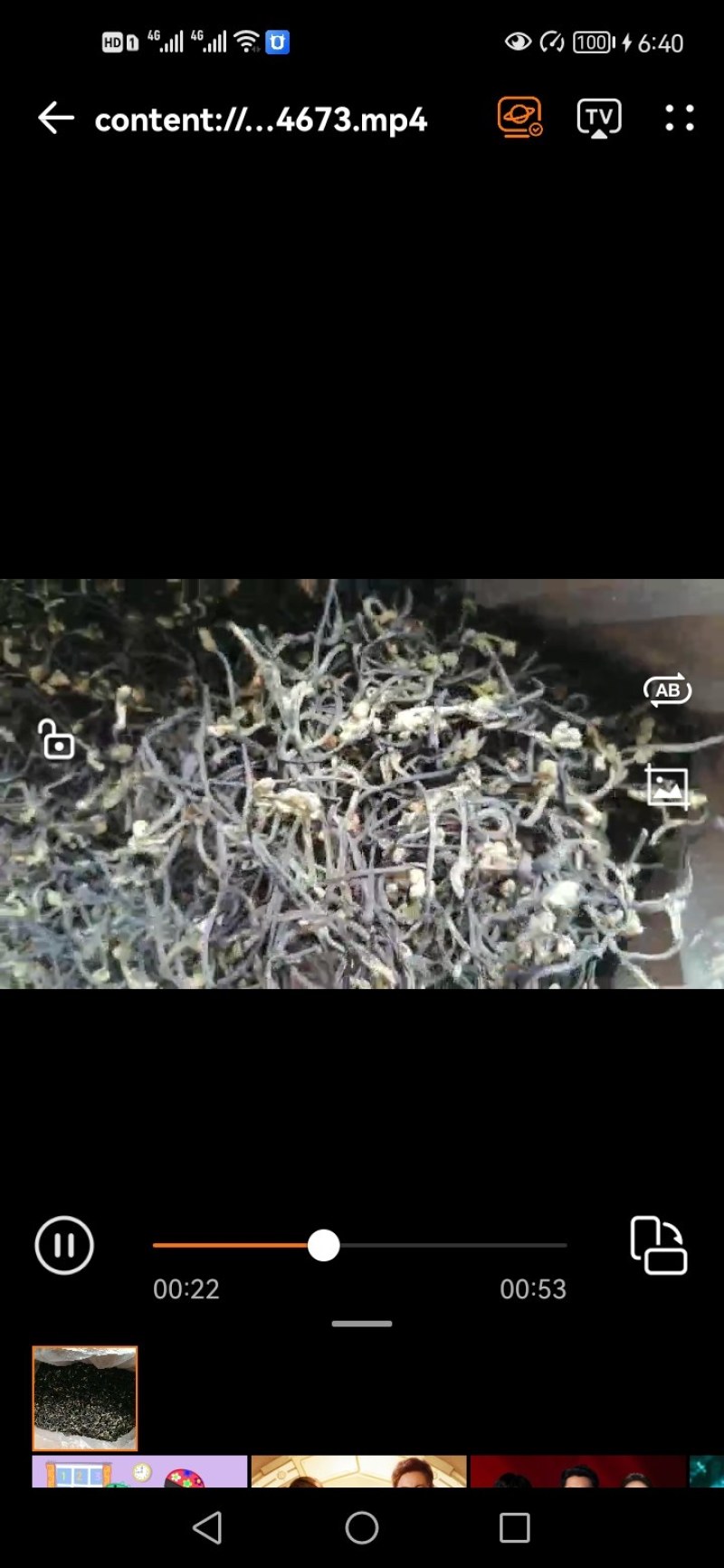 蕨菜干，长期大量批发
