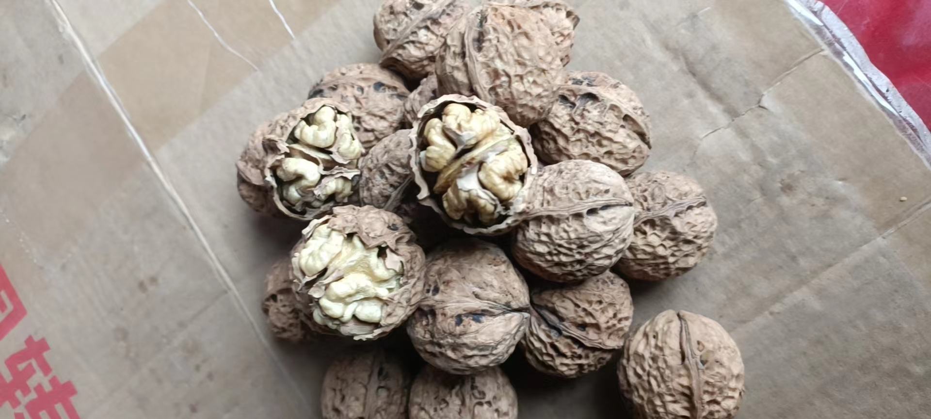 罗汉松果实与儿童安全提示