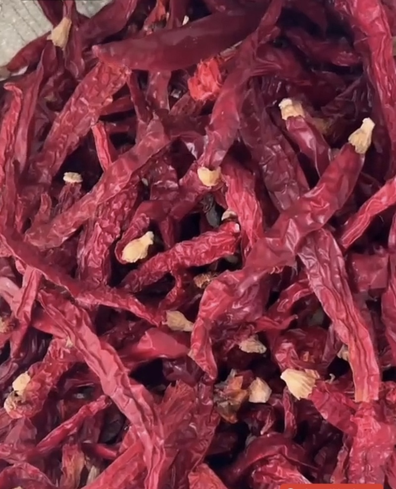 二荆条香辣干辣椒高辣中辣长期大量出货稳定