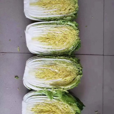 黄心娃娃菜