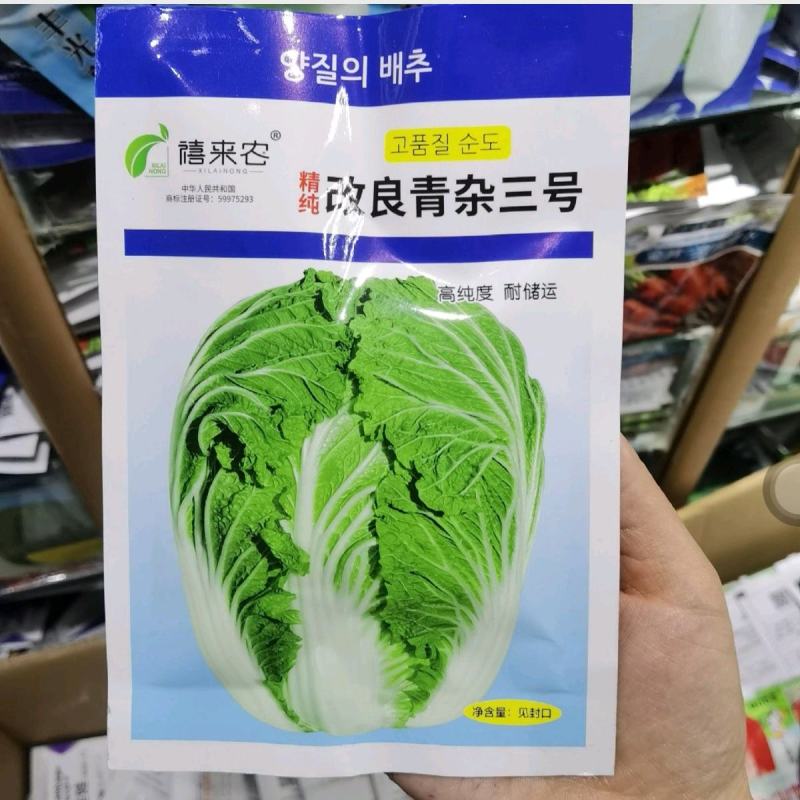 改良青杂3号大白菜种子85天晚熟单球重4~5公斤种植户用