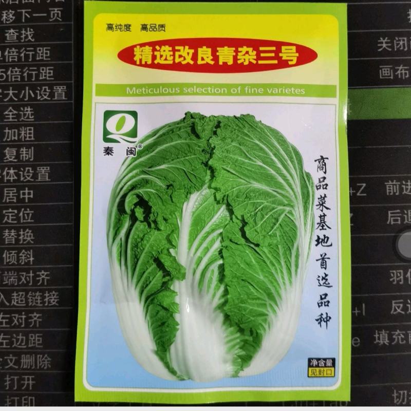 改良青杂3号大白菜种子85天晚熟单球重4~5公斤种植户用