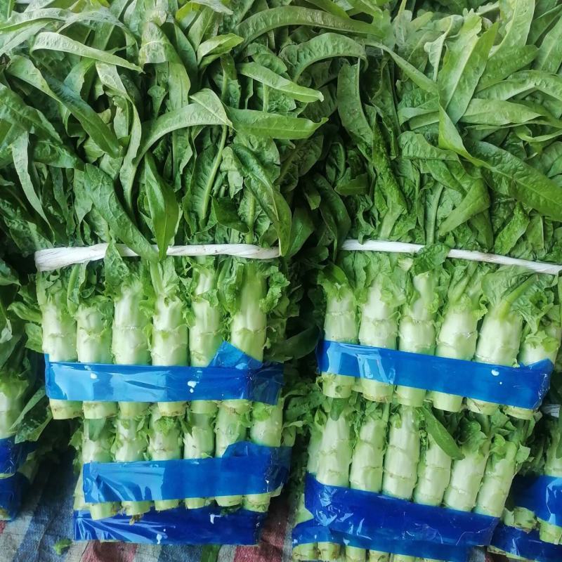 兰陵县精品尖叶莴笋大量上市，无空心，无骨节，质量很好，支