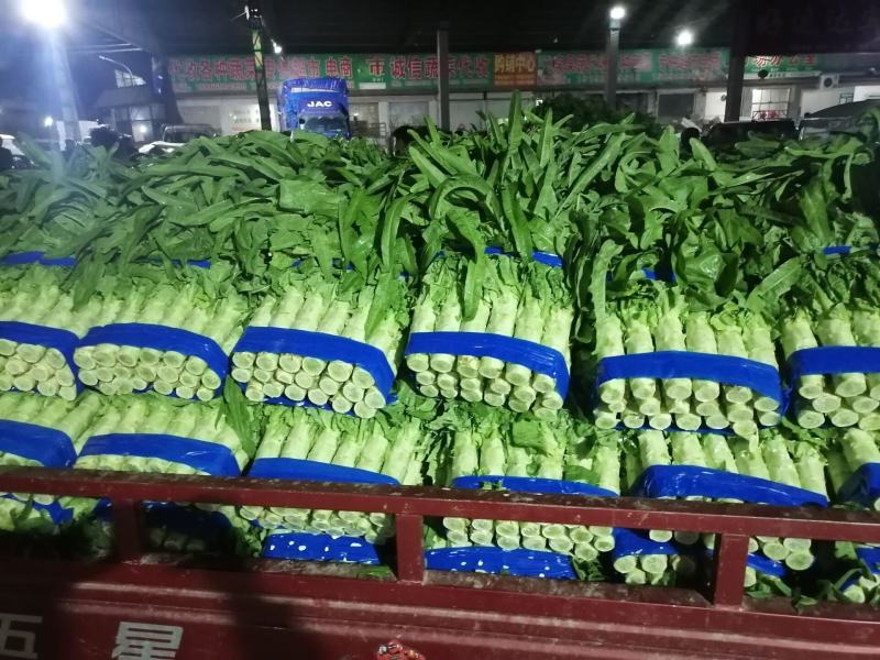 兰陵县精品尖叶莴笋大量上市，无空心，无骨节，质量很好，支