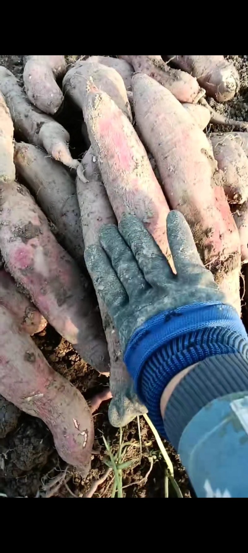 陕西省，西安市，鄠邑区，有想要可以联系