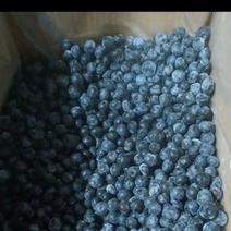贵州原生态高山露天蓝莓果，速冻果，冷冻蓝莓果