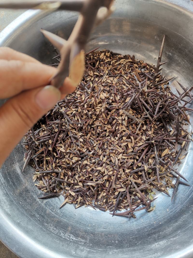 皂刺，天丁，中药材，皂荚刺，皂角刺，皂角针