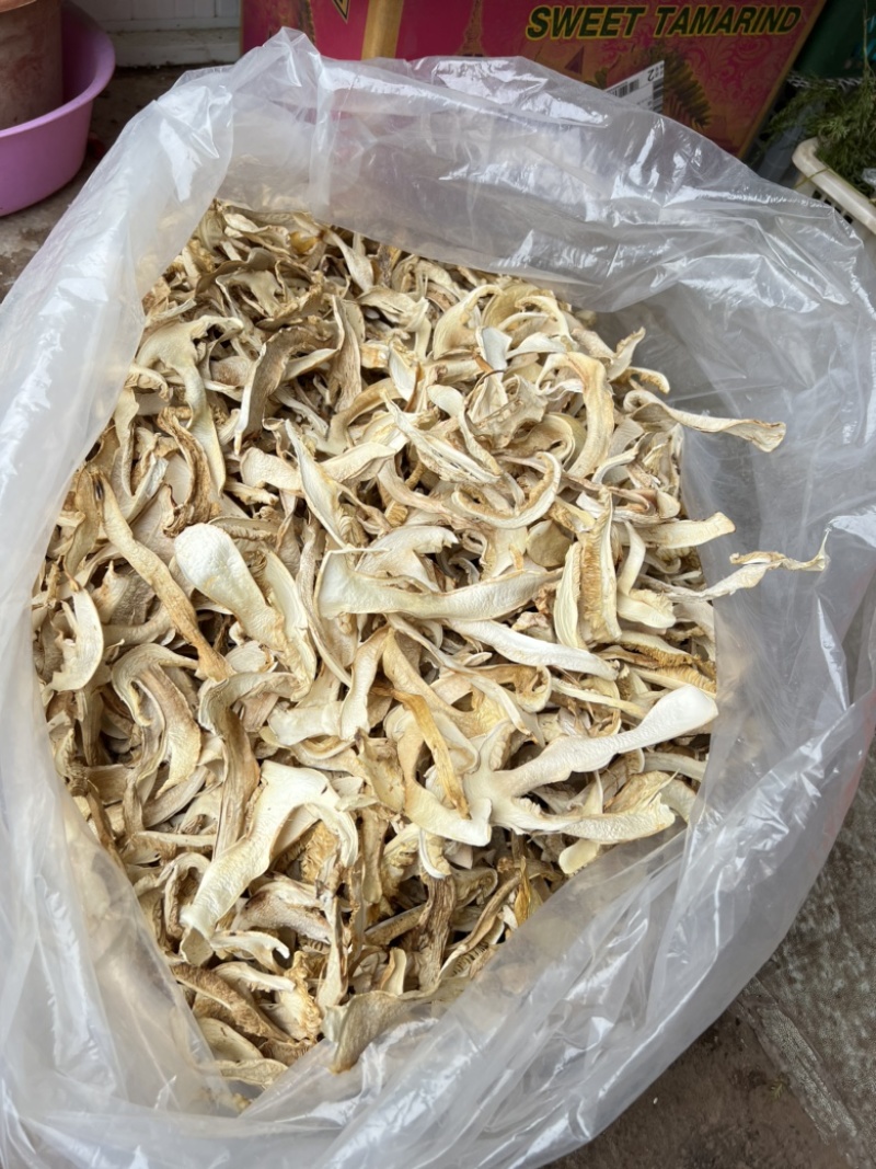 香格里拉野生松茸干片去皮大白片诚信合作欢迎来电