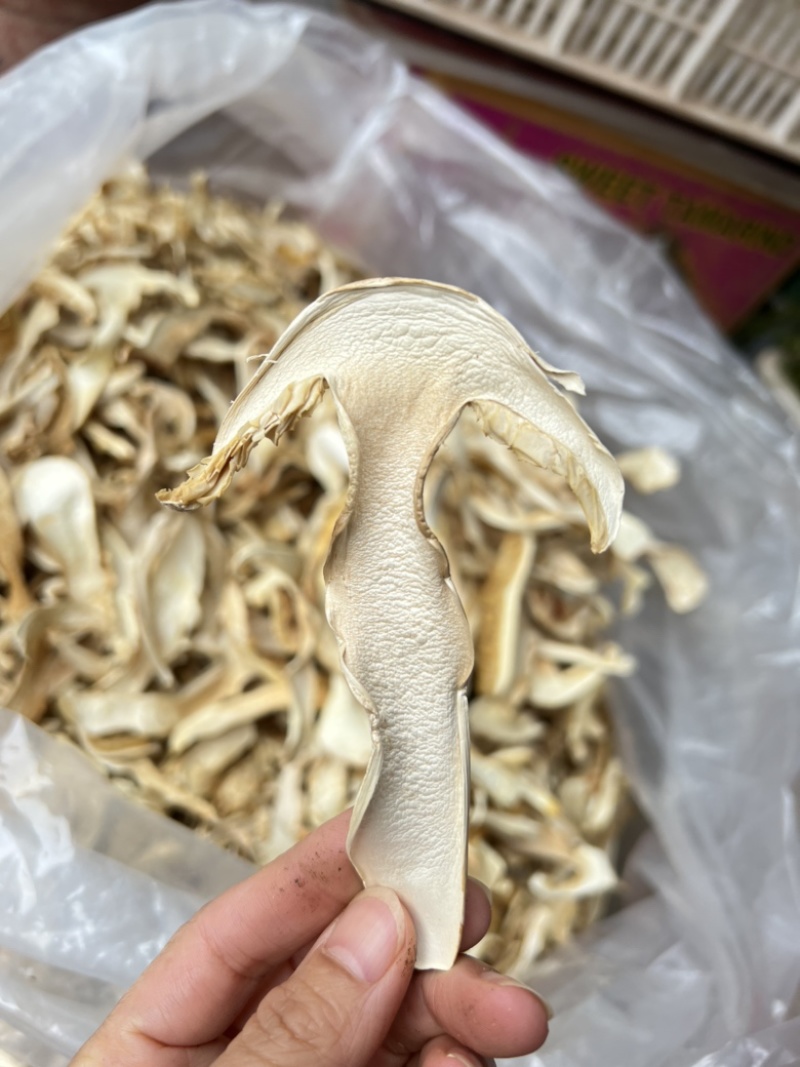 香格里拉野生松茸干片去皮大白片诚信合作欢迎来电