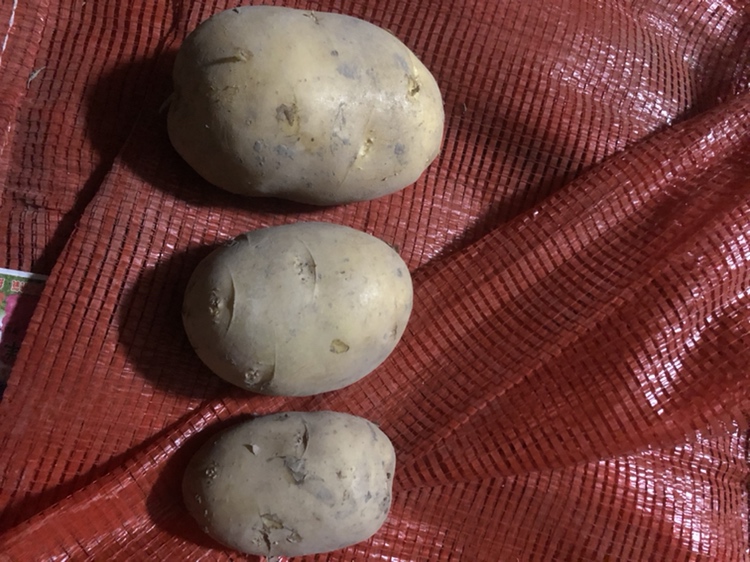 酸奶土豆沙拉成品图