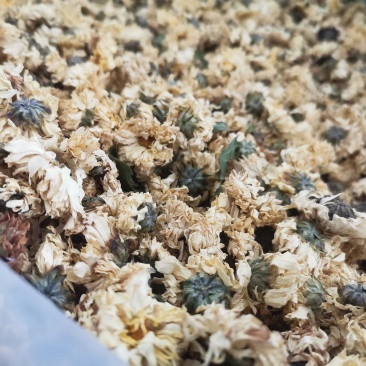 菊花药用菊花优质中药材干货保质保量一件代发批实物拍摄