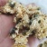 菊花药用菊花优质中药材干货保质保量一件代发批实物拍摄