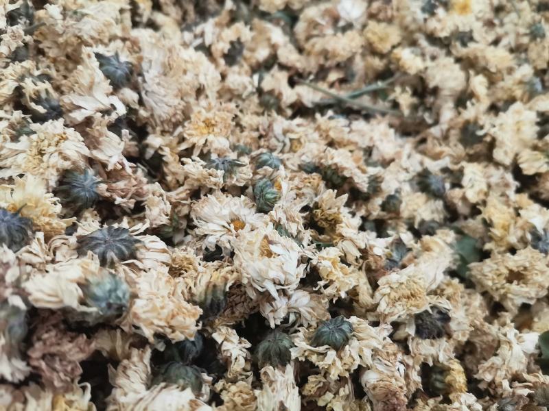 菊花药用菊花优质中药材干货保质保量一件代发批实物拍摄