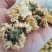 菊花药用菊花优质中药材干货保质保量一件代发批实物拍摄