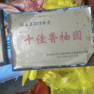 高山老树！正宗江永老树香柚，纯农家肥种植。农户一手货源