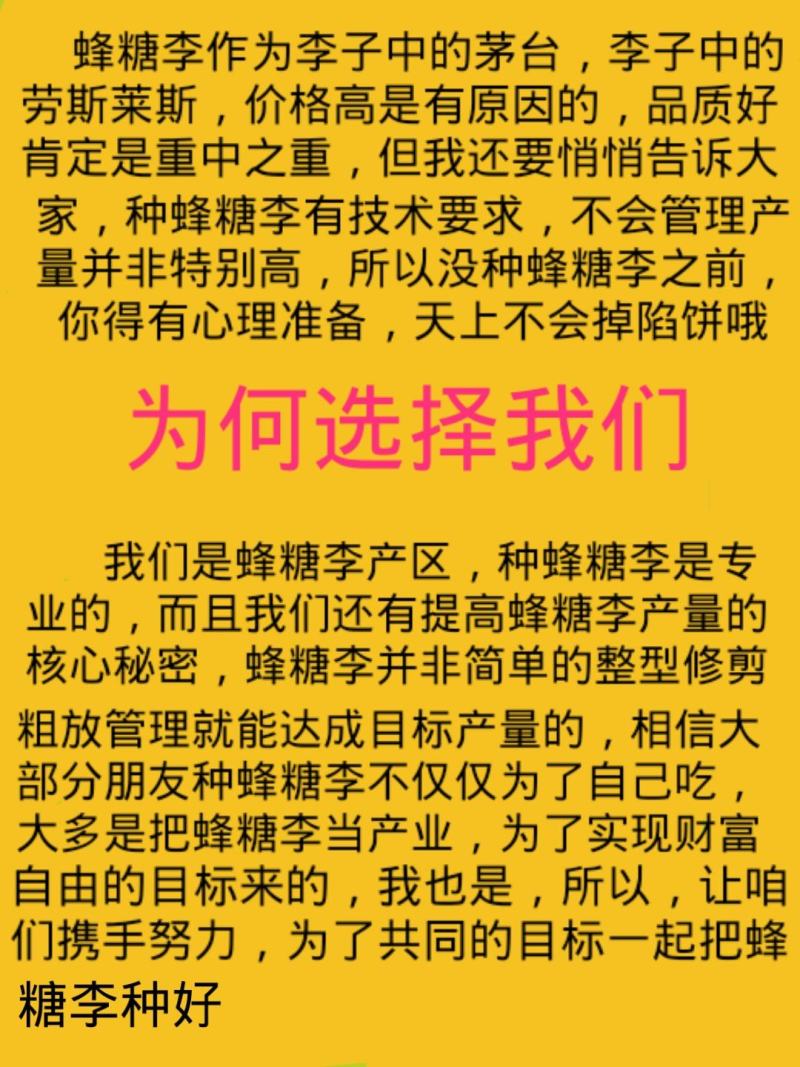 李子苗蜂糖李苗贵州蜂糖李苗贵州原产地发货